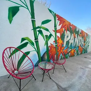Panda , Mendoza Argentinien