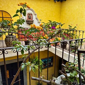 Maison Bougainvillea אכסניה
